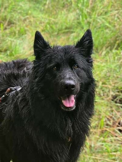 Was hat euch heute gefreut?-Beitrag-Bild