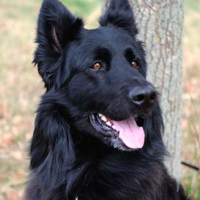 Was hat euch heute gefreut?-Beitrag-Bild