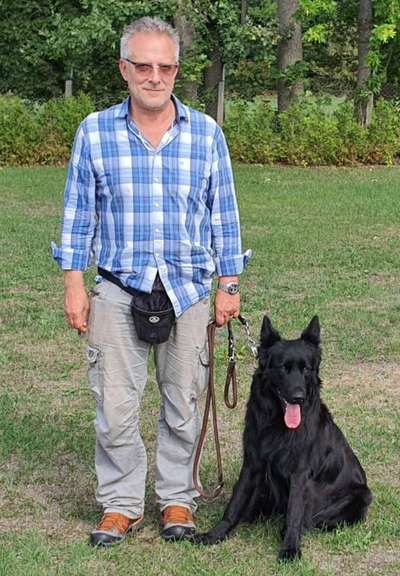 Alles rund um den Schäferhund, diskutieren erwünscht.-Beitrag-Bild