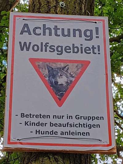 Alles rund um den Schäferhund, diskutieren erwünscht.-Beitrag-Bild
