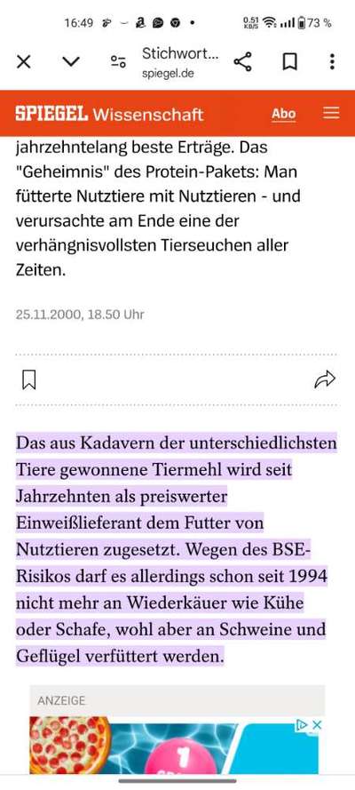 Gutes Trockenfutter mit hohem Fleischanteil-Beitrag-Bild