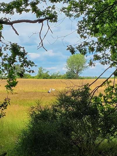 Was hat euch heute gefreut?-Beitrag-Bild