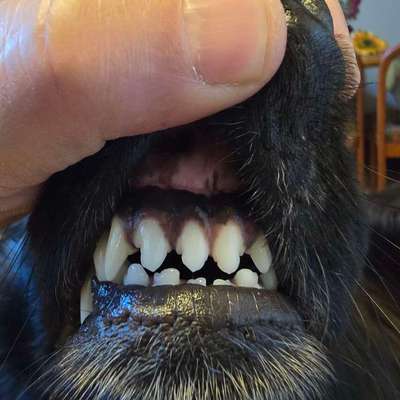 Was hat euch heute gefreut?-Beitrag-Bild