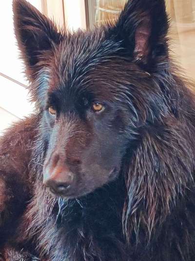 Foto Challenge Nr.133-Beitrag-Bild