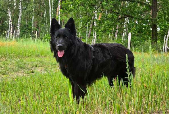 Was hat euch heute gefreut?-Beitrag-Bild