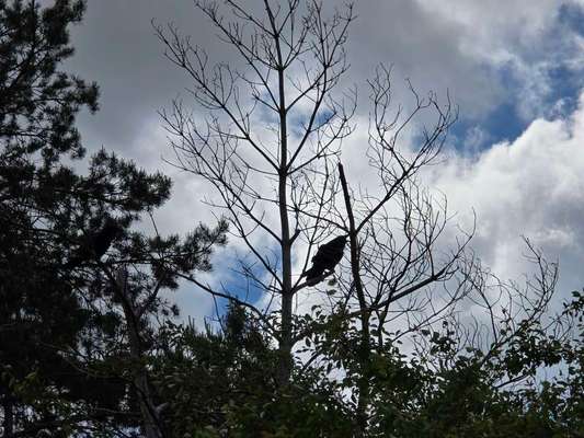 Was hat euch heute gefreut?-Beitrag-Bild