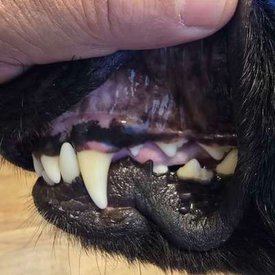 Empfehlung zu Zahnreinigung & Zahnsteinentfernung-Beitrag-Bild