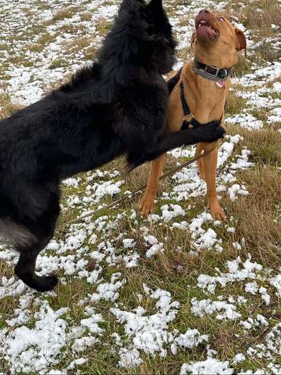 Was hat euch heute gefreut?-Beitrag-Bild