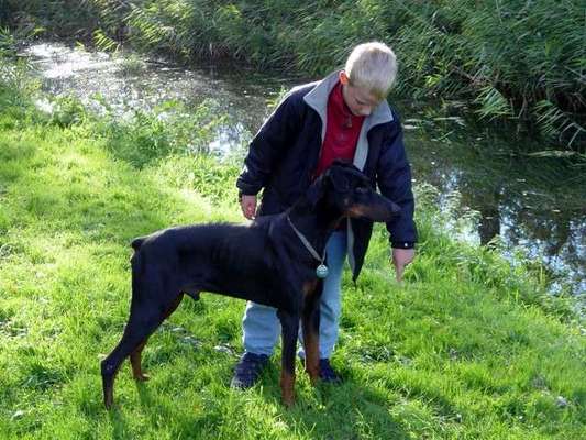 Aggression beim Hund.-Beitrag-Bild