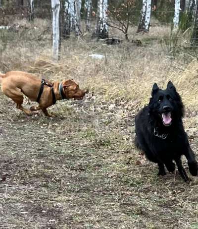 Was hat euch heute gefreut?-Beitrag-Bild