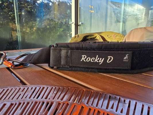 Welches Halsband trägt dein Hund und warum dieses?-Beitrag-Bild