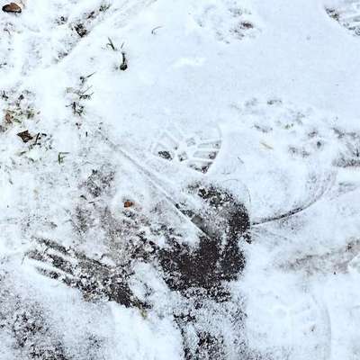 Was hat euch heute gefreut?-Beitrag-Bild