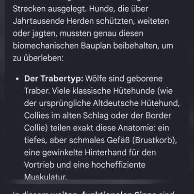 Was haben wir aus dem Hund gemacht?-Beitrag-Bild