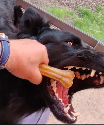 Zahnreinigungsspay-Beitrag-Bild