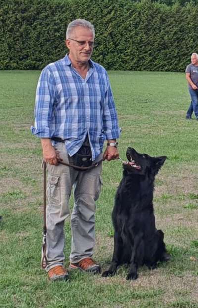 Alles rund um den Schäferhund, diskutieren erwünscht.-Beitrag-Bild