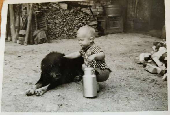 Qualzucht - Warum Aufklärung alleine nicht reicht-Beitrag-Bild