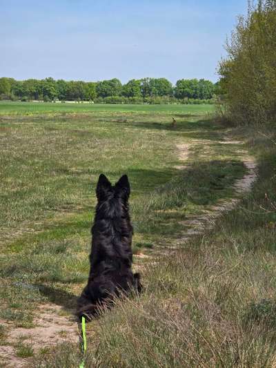Begegnungen mit Fahrradfahrern-Beitrag-Bild