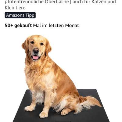 Was hat euch heute mit eurem Hund gefreut?-Beitrag-Bild