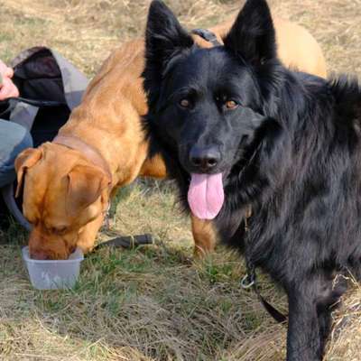 Was hat euch heute gefreut?-Beitrag-Bild