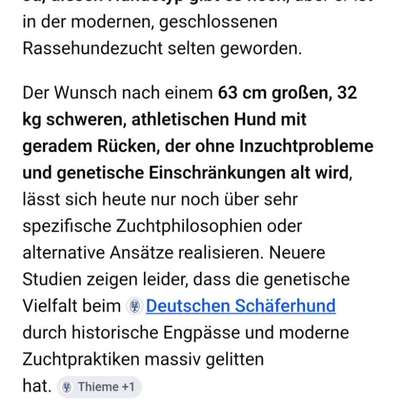 Qualzucht - Warum Aufklärung alleine nicht reicht-Beitrag-Bild