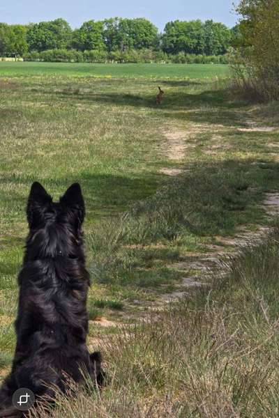 Was hat euch heute gefreut?-Beitrag-Bild