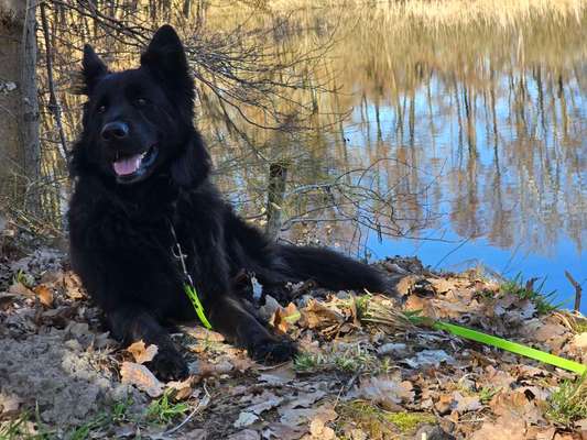 Was hat euch heute gefreut?-Beitrag-Bild