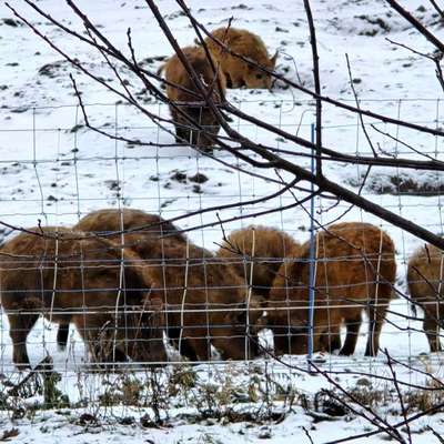 Was hat euch heute gefreut?-Beitrag-Bild