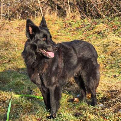 Was hat euch heute gefreut?-Beitrag-Bild