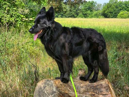 Was hat euch heute gefreut?-Beitrag-Bild