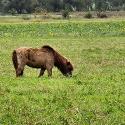 Was hat euch heute gefreut?-Beitrag-Bild