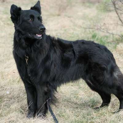 Was hat euch heute gefreut?-Beitrag-Bild