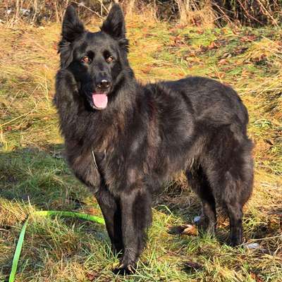 Was hat euch heute gefreut?-Beitrag-Bild