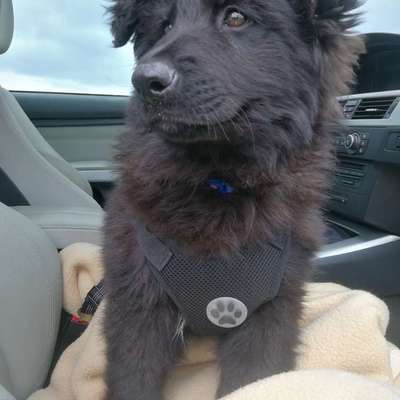 Was hat euch heute gefreut?-Beitrag-Bild