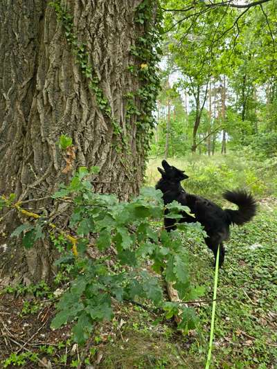 Was hat euch heute gefreut?-Beitrag-Bild