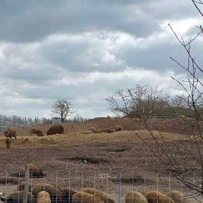 Was hat euch heute gefreut?-Beitrag-Bild