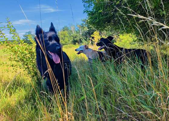 Was hat euch heute gefreut?-Beitrag-Bild