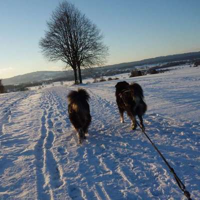 Weitere Unternehmen-Fewos mit ❤️  für Hund im Alpenvorland-Bild