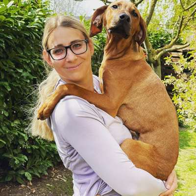 Hundetreffen-Gassirunde, spielen, gerne auch Trainieren