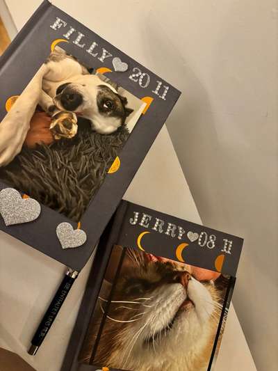 Schmerz-Beitrag-Bild