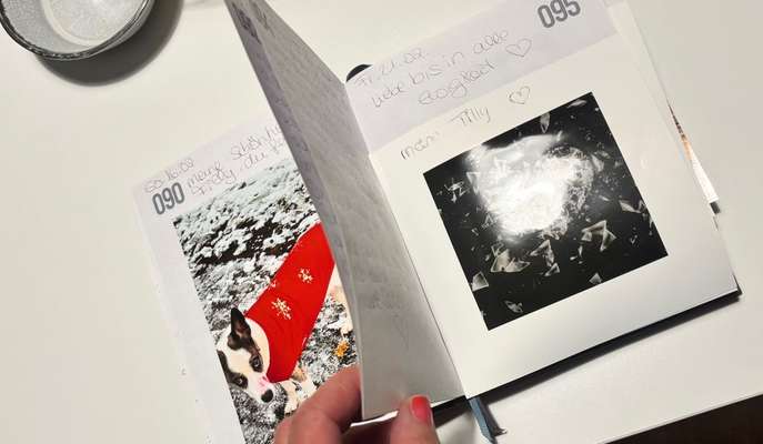 Schmerz-Beitrag-Bild