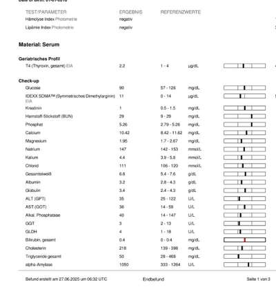 Ernährung-Beitrag-Bild