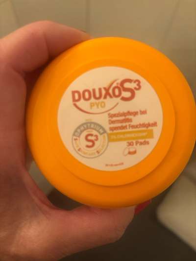 Blutende Zitze/Brustwarze Rüde-Beitrag-Bild