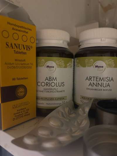 Misteltherapie bei Krebs-Beitrag-Bild