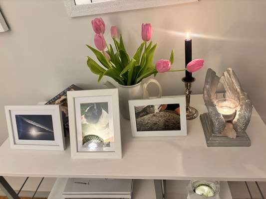 Schmerz-Beitrag-Bild