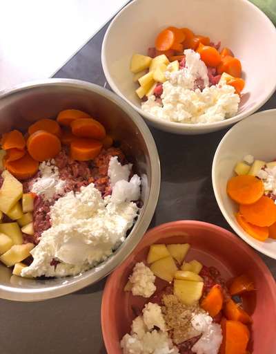 Zeigt her Eure Futternäpfe-Beitrag-Bild