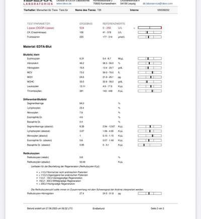Ernährung-Beitrag-Bild