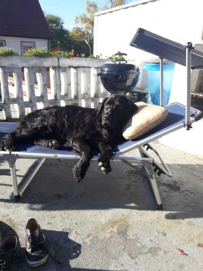 Fotochallenge No. 26                                     Wald und Wiese-Beitrag-Bild