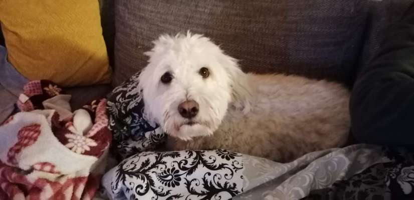 Lieblingsbild-Beitrag-Bild