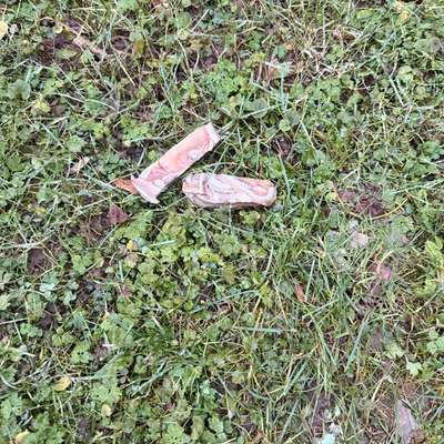 Giftköder-Wahrscheinlicher Giftköder-Bild