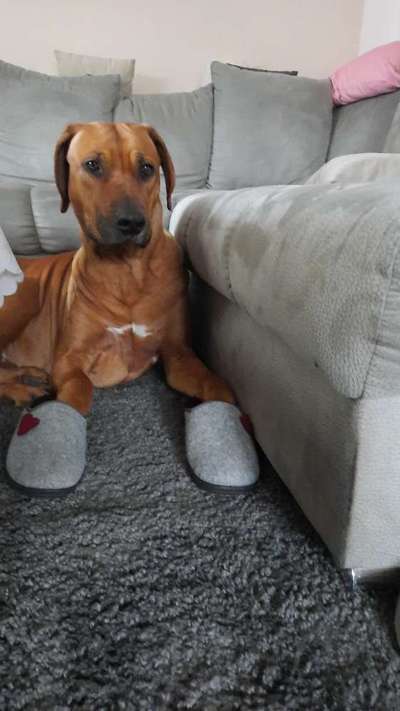 Fotochallenge Nr. 67: Euer Lieblingsbild-Beitrag-Bild